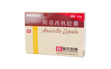 阿莫西林胶囊(阿莫仙)主图