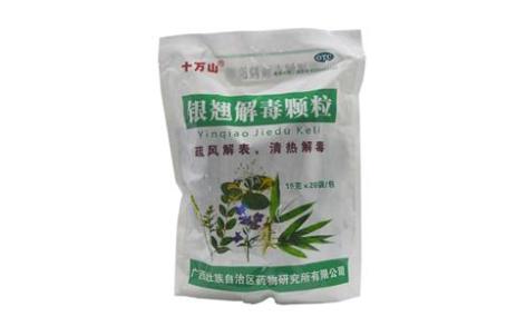 银翘解毒颗粒(十万山)主图 银翘解毒颗粒(十万山)主图