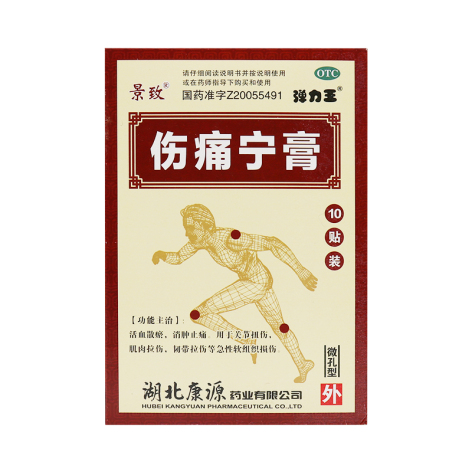 伤痛宁膏(康源)包装主图 伤痛宁膏(康源)包装主图