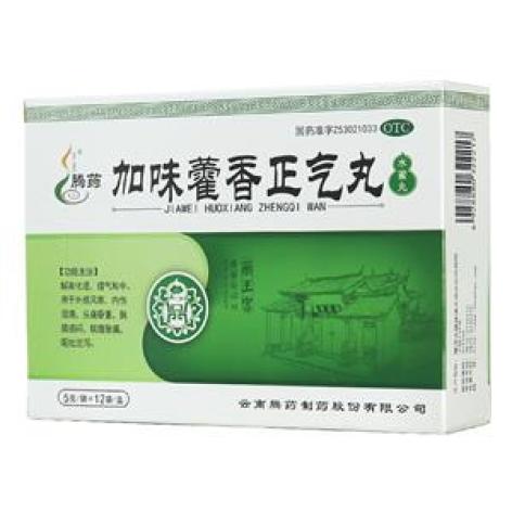 加味藿香正气丸(腾药)包装主图 加味藿香正气丸(腾药)包装主图