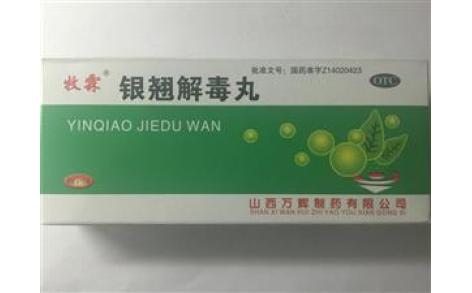银翘解毒丸(牧霖)主图 银翘解毒丸(牧霖)主图
