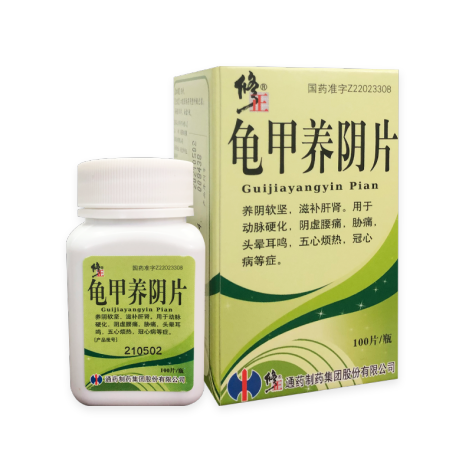 龟甲养阴片(修正)包装主图 龟甲养阴片(修正)包装主图