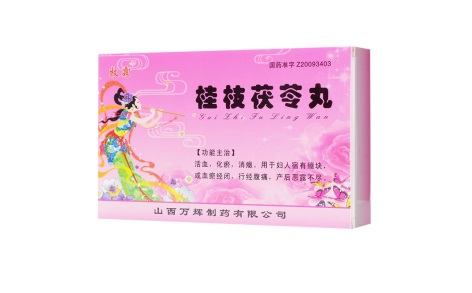 桂枝茯苓丸(牡霖)主图 桂枝茯苓丸(牡霖)主图