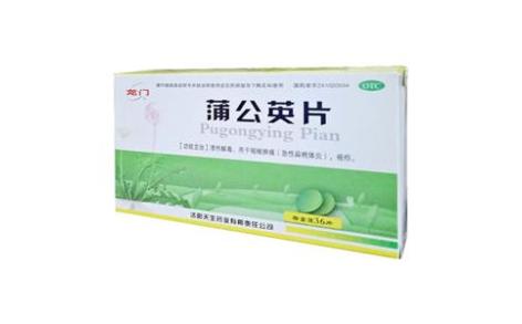 蒲公英片(龙门)主图 蒲公英片(龙门)主图