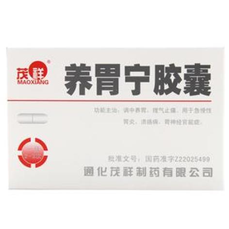 养胃宁胶囊(茂祥)包装主图 养胃宁胶囊(茂祥)包装主图