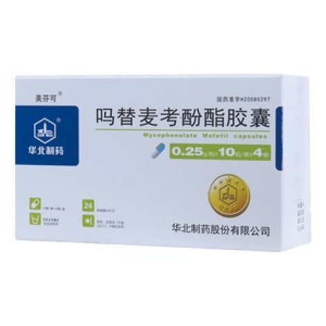 吗替麦考酚酯胶囊(华北制药)包装主图 吗替麦考酚酯胶囊(华北制药)包装主图