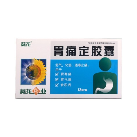胃痛定胶囊(葵花)包装主图