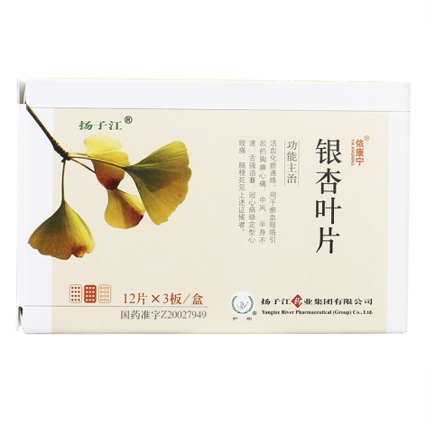 银杏叶片(依康宁)包装主图 银杏叶片(依康宁)包装主图