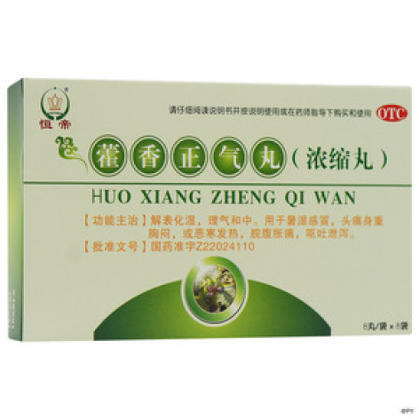 藿香正气丸(聪明虎)包装主图 藿香正气丸(聪明虎)包装主图