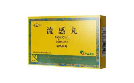 流感丸(奇正)主图