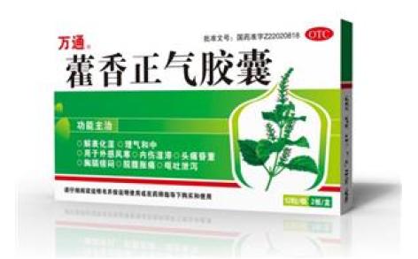 藿香正气胶囊(辉南辉发)主图 藿香正气胶囊(辉南辉发)主图