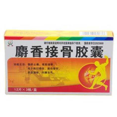 麝香接骨胶囊(恒帝)包装主图 麝香接骨胶囊(恒帝)包装主图
