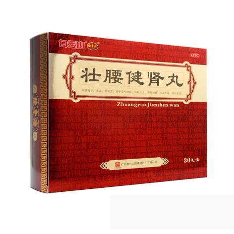 壮腰健肾丸(陳李済)包装主图 壮腰健肾丸(陳李済)包装主图