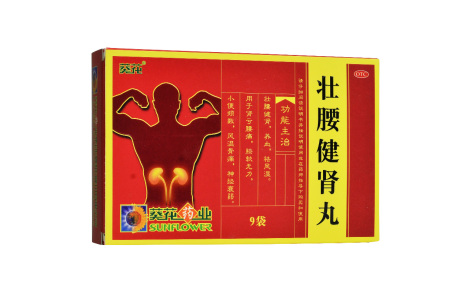 壮腰健肾丸(葵花)主图 壮腰健肾丸(葵花)主图