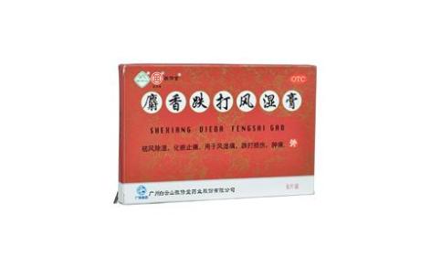 麝香跌打风湿膏(敬修堂)主图 麝香跌打风湿膏(敬修堂)主图