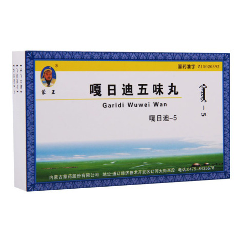 嘎日迪五味丸(蒙王)包装侧面图4 嘎日迪五味丸(蒙王)包装侧面图4