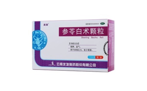 参苓白术颗粒(龙发)主图 参苓白术颗粒(龙发)主图