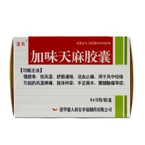 加味天麻胶囊(追风)包装主图 加味天麻胶囊(追风)包装主图