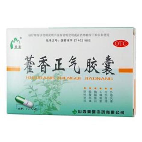 藿香正气胶囊(颐聖堂)包装主图