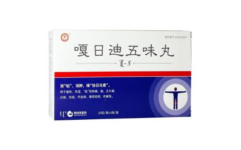 嘎日迪五味丸(其他)主图 嘎日迪五味丸(其他)主图