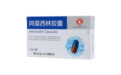 阿莫西林胶囊(峨嵋山)主图 阿莫西林胶囊(峨嵋山)主图