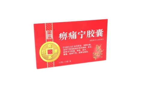 痹痛宁胶囊(乌苏里江)主图 痹痛宁胶囊(乌苏里江)主图