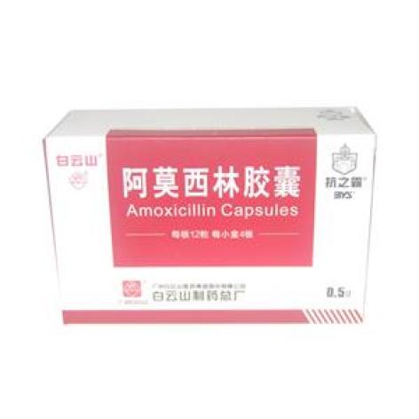 阿莫西林胶囊(抗之霸)包装主图 阿莫西林胶囊(抗之霸)包装主图