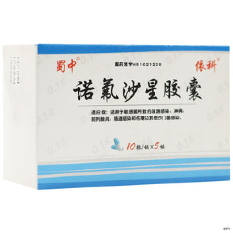 诺氟沙星胶囊(康福)包装主图