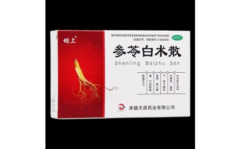 参苓白术散(坝上)主图 参苓白术散(坝上)主图