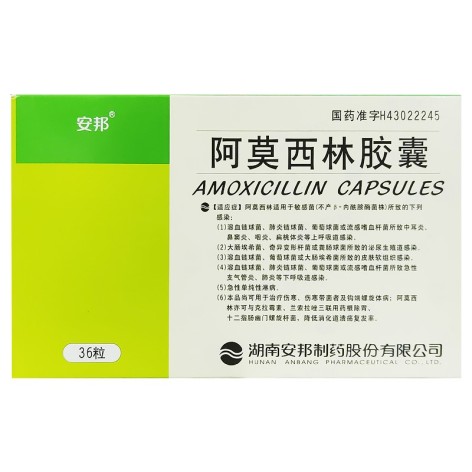阿莫西林胶囊(安邦)包装主图 阿莫西林胶囊(安邦)包装主图