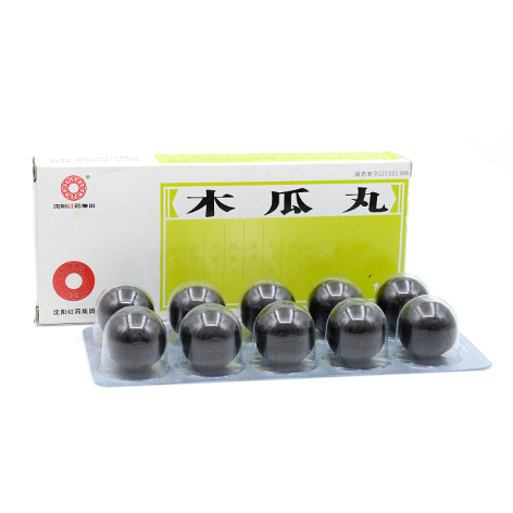 木瓜丸(沈阳红药)包装主图 木瓜丸(沈阳红药)包装主图