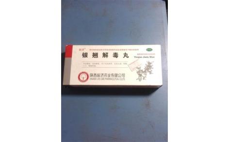 银翘解毒丸(辰济)主图