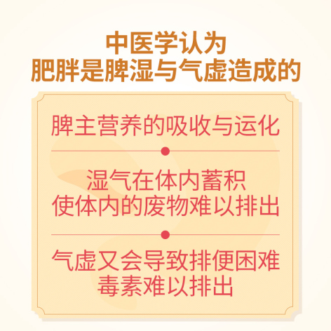 轻身消胖丸(昆中)包装侧面图4 轻身消胖丸(昆中)包装侧面图4