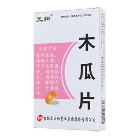 木瓜片(元和)包装主图 木瓜片(元和)包装主图