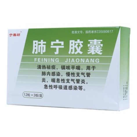 肺宁胶囊(于藥師)包装主图 肺宁胶囊(于藥師)包装主图