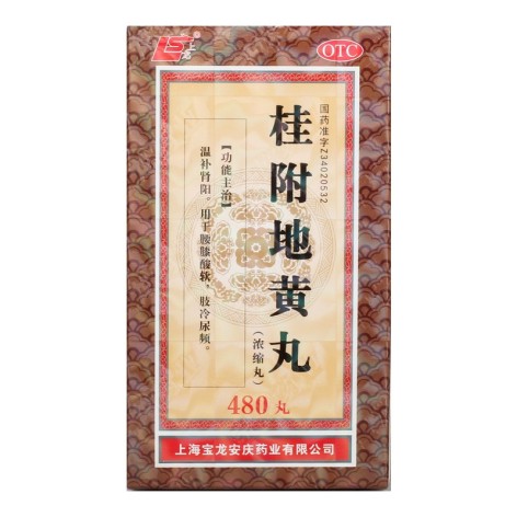 桂附地黄丸(宝龙)包装主图 桂附地黄丸(宝龙)包装主图