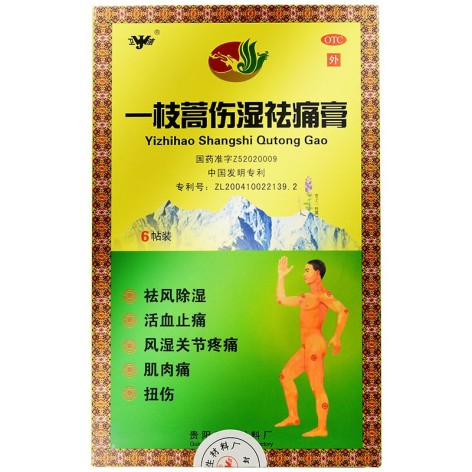 一枝蒿伤湿祛痛膏(卫洁)包装主图