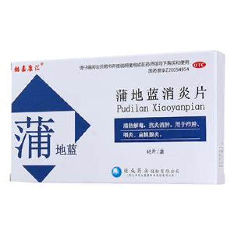 蒲地蓝消炎片(懿嘉康汇)包装主图