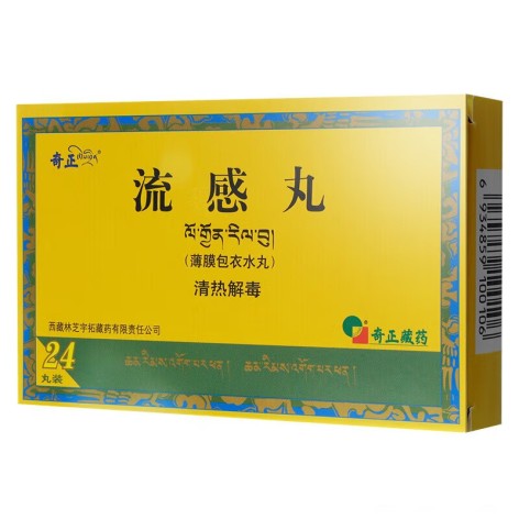 流感丸(奇正)包装主图