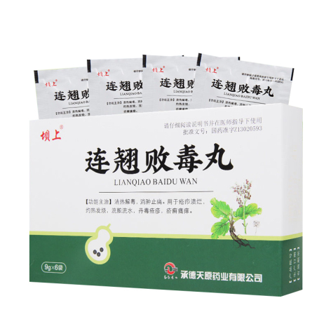 连翘败毒丸(坝上)包装主图 连翘败毒丸(坝上)包装主图