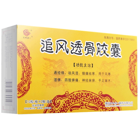 追风透骨胶囊(天地恒一)包装主图