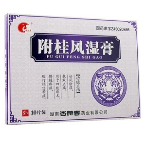 附桂风湿膏(东盛)包装主图 附桂风湿膏(东盛)包装主图
