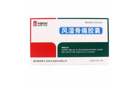 风湿骨痛胶囊(中国药材)主图 风湿骨痛胶囊(中国药材)主图