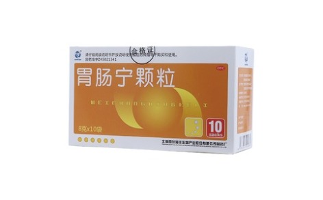 胃肠宁颗粒(国发)主图