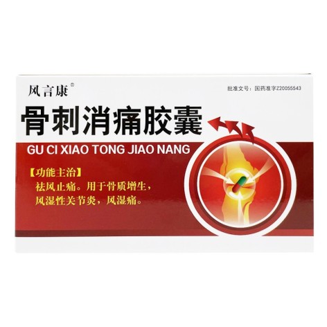 骨刺消痛胶囊(风言康)包装主图 骨刺消痛胶囊(风言康)包装主图