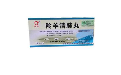 羚羊清肺丸(丹龙)主图 羚羊清肺丸(丹龙)主图