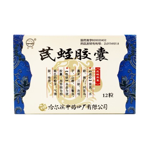 芪蛭胶囊(兰河)包装主图 芪蛭胶囊(兰河)包装主图