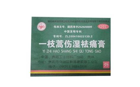 一枝蒿伤湿祛痛膏(贵阳)主图 一枝蒿伤湿祛痛膏(贵阳)主图