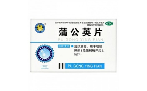 蒲公英片(龙门)主图 蒲公英片(龙门)主图