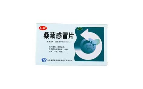 桑菊感冒片(桐君阁)主图